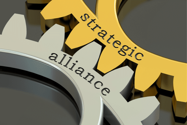 strategic partnership for vertical marketing